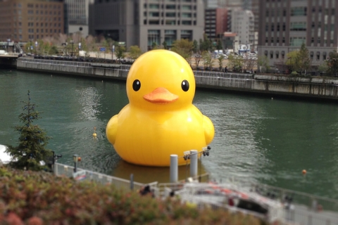 duck_20131216.jpg