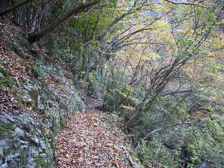 枯葉の登山道