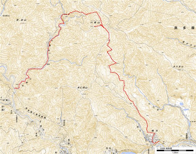 川苔山地図