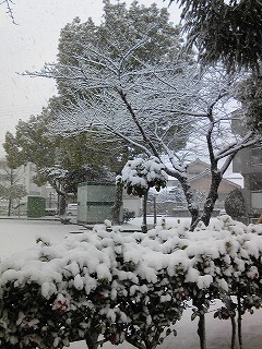 雪景色３