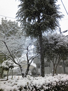 雪景色４