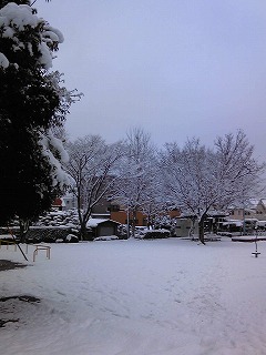 雪景色６