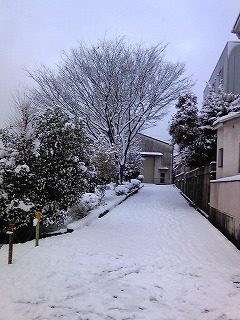 雪景色７