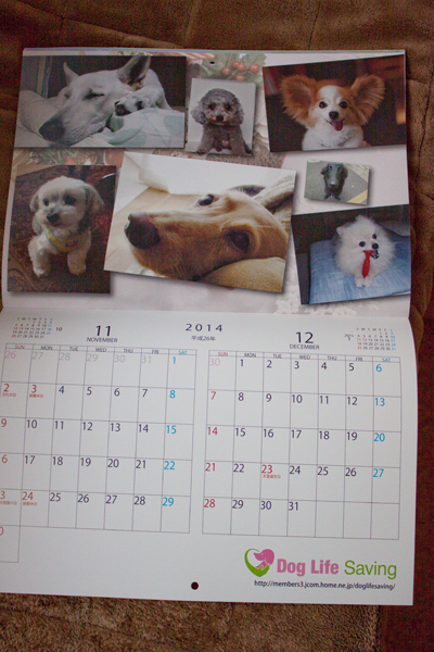 calendar2014_007.jpg
