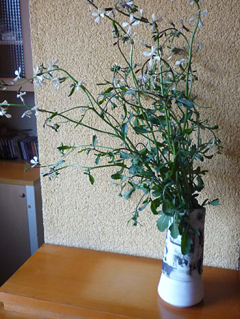 春の花と野田さんの花器