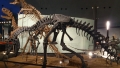 福井恐竜博物館６