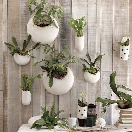 df818aa40f2bf330_6722-w422-h422-b0-p0--contemporary-indoor-pots-and-planters[1] (2)