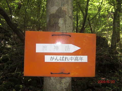 2009.8.23渡神岳 (13)s