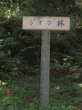 2009.8.23渡神岳 (12)s