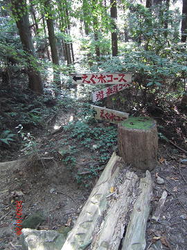 2009.9.26鷹取山 . (4)s