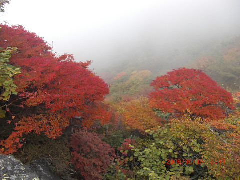 2009.10.18三俣山・大船山 (19)s