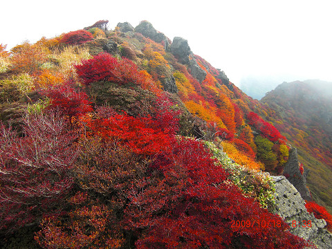 2009.10.18三俣山・大船山 (30)s