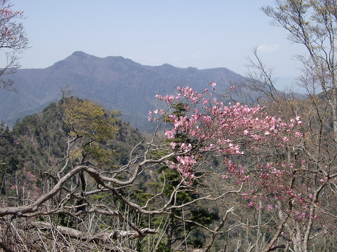 2010.4.29夏木山. (19)s