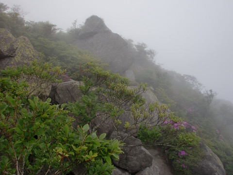 2010.6.12黒岳 (16)s