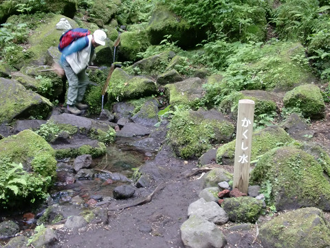 2010.6.12黒岳 (25)s
