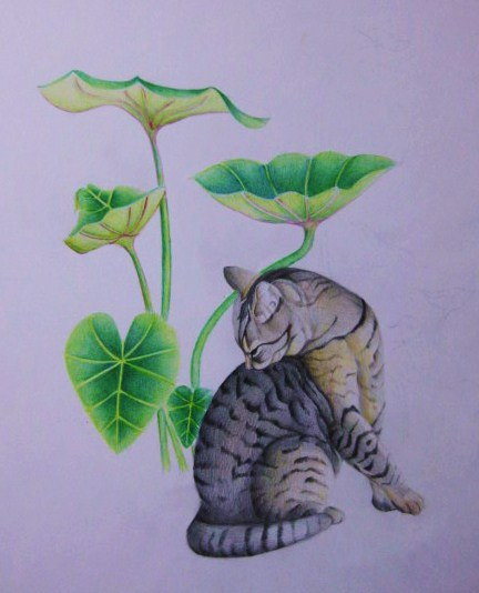 萌の猫の色鉛筆画と趣味の写真 里芋の葉が半分塗れました