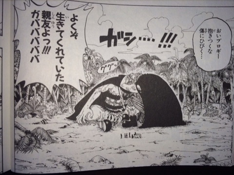 14年01月 One Piece ワンピースの画像付名言集 ネタバレ注意