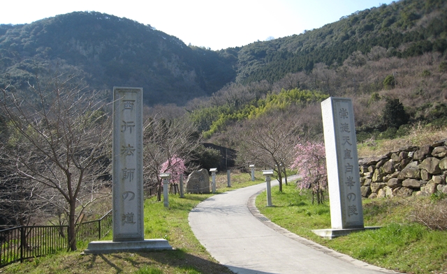 青海神社下の桜