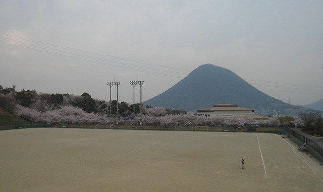 飯山総合運動公園の桜
