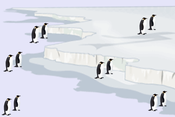 ペンギン６