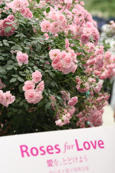 Roses for Love
