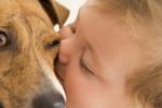 dog-picture-photo-baby-kisses.jpg