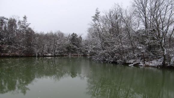 池に薄氷