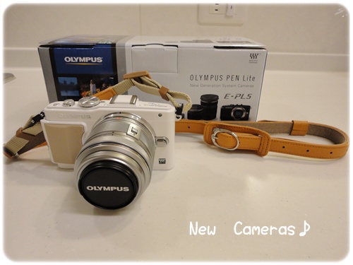 New Cameras