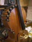 warmly-cello
