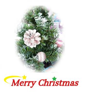 クリスマスconvert_20131224182114