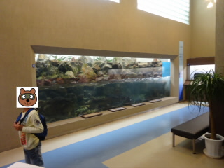 京大白浜水族館