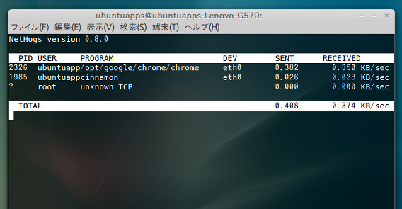 NetHogs Ubuntu ネットワークモニタリングツール